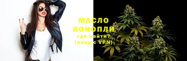 метадон Богданович