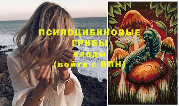 метадон Богданович